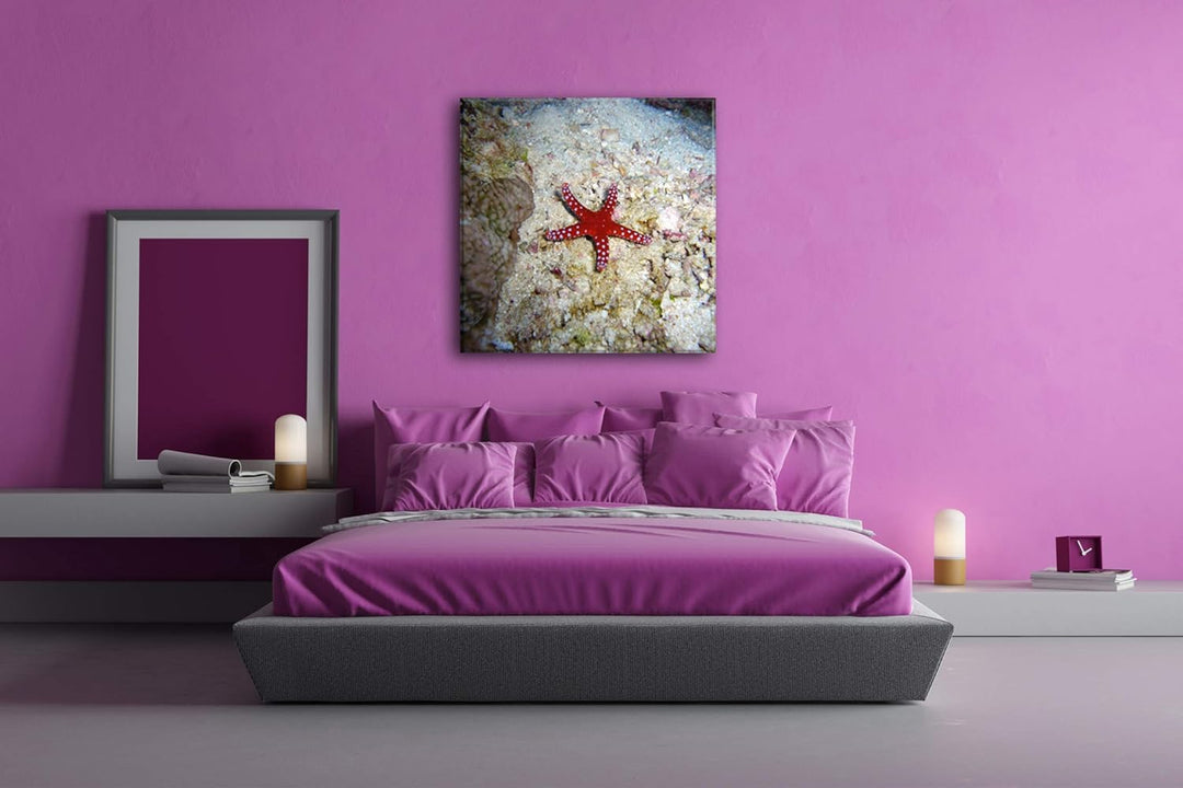 deyoli Atemberaubender Seestern Format: 60x60 als Leinwandbild, Motiv fertig gerahmt auf Echtholzrah