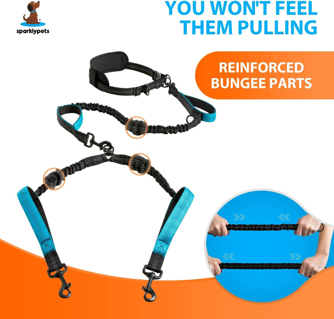 Joggingleine für Hunde zum Laufen, Joggen, Wandern | 2 in 1 Joggingleine und Normale Hundeleine für