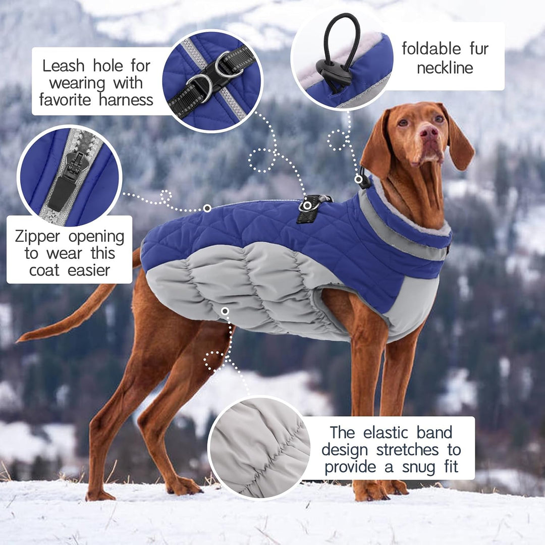 Kuoser Hundejacke Hundemantel für Kleine Hunde Winterweste, Wasserdicht Hunde Wintermantel Jacke Win