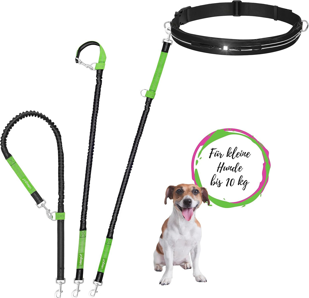 Leisegrün Joggingleine kleine Hunde bis 10 kg | Freihandleine zum Joggen mit Bauchgurt | 135 cm bis