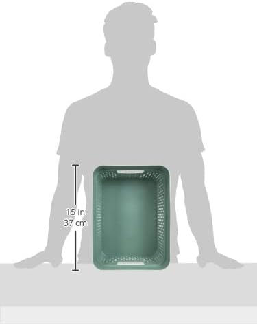 CURVER Aufbewahrungsbehälter, Recycelter Kunststoff, Grün, M, 245853, Grün