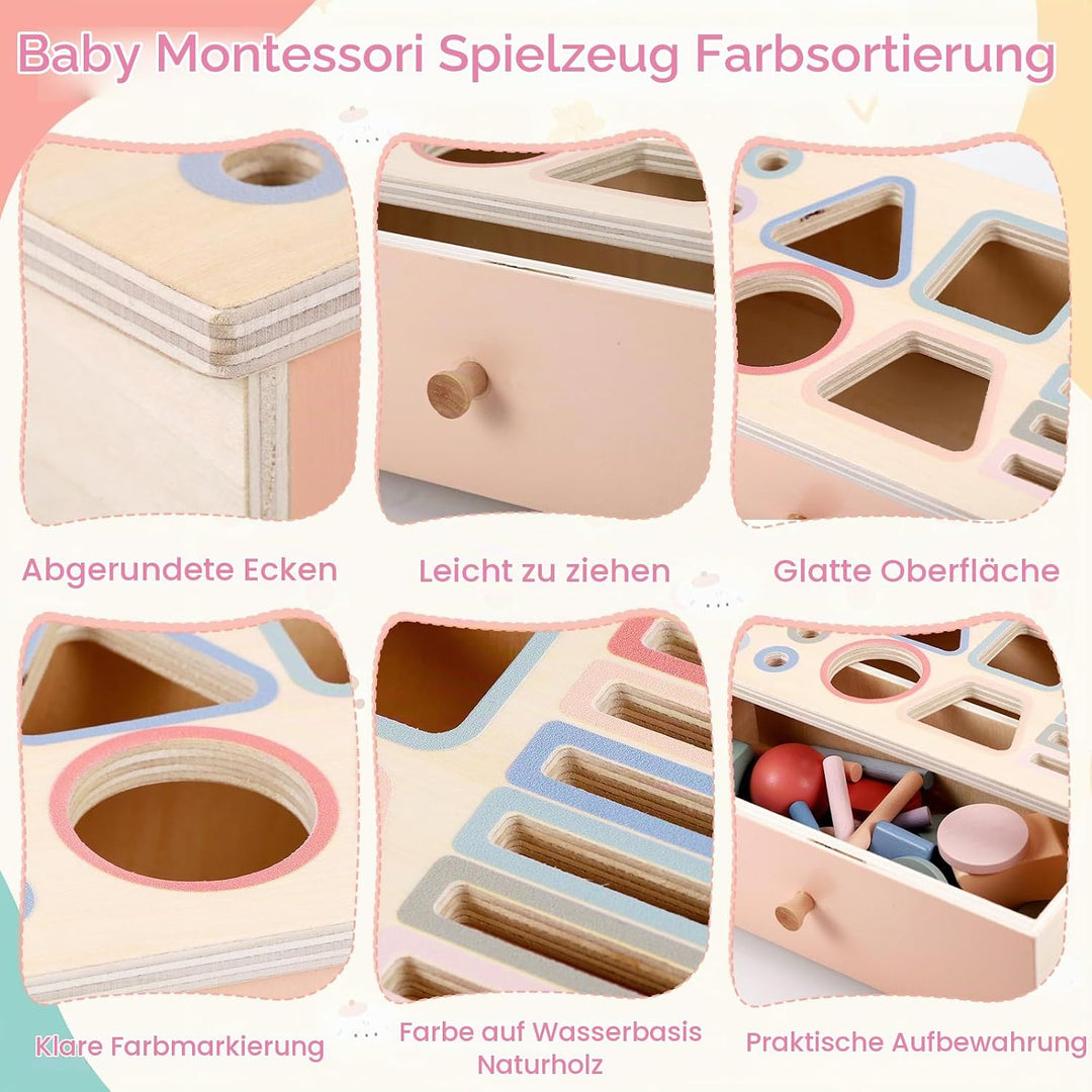 Montessori Spielzeug, 3-in-1 Holz Münzbox &amp; Ballbox Kinder Jungen Mädchen, Objektpermanenz Box, Farb