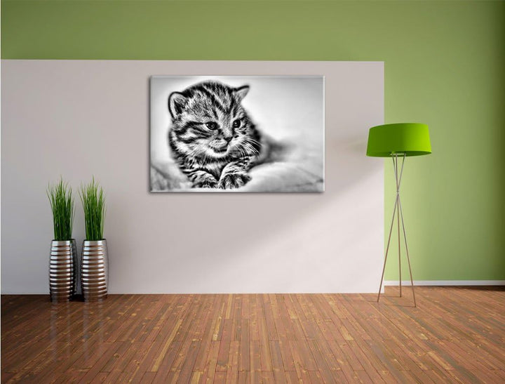 Pixxprint Monocrome, Kleines Kätzchen auf weisser Decke, Format: 100x70 auf Leinwand, XXL riesige Bi