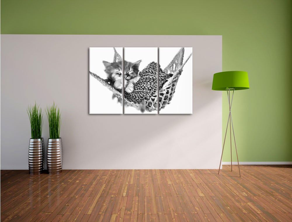 Pixxprint Monocrome, Schlafendes Katzenbaby in Hängematte 3-Teiler Leinwandbild 120x80 Bild auf Lein
