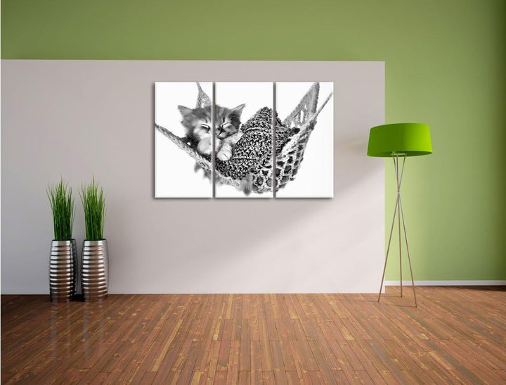 Pixxprint Monocrome, Schlafendes Katzenbaby in Hängematte 3-Teiler Leinwandbild 120x80 Bild auf Lein