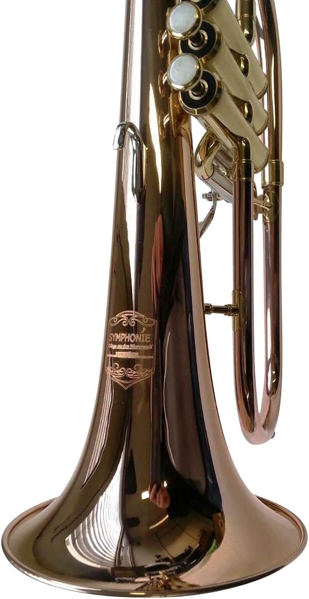 SYMPHONIE WESTERWALD® Flügelhorn, Konzertflügelhorn in B, Goldmessing, Monelventile, Perinetventile