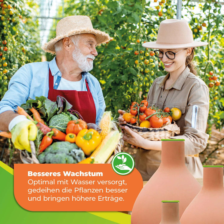 BioGreen Olla Pflanzenbewässerung HYDRO MAX | vers. Grössen | 0,2 L | Ø 30 cm automatische Bewässeru