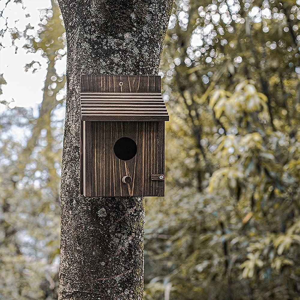 Vogelhaus aus Holz für draussen mit Stange für Finken, Bluebird, Kardinäle, hängendes Vogelhaus, Gar