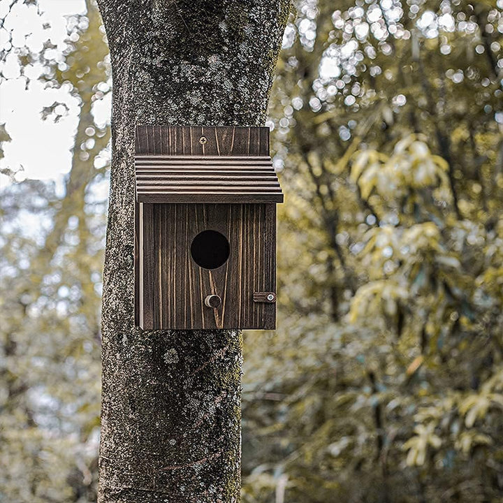 Vogelhaus aus Holz für draussen mit Stange für Finken, Bluebird, Kardinäle, hängendes Vogelhaus, Gar