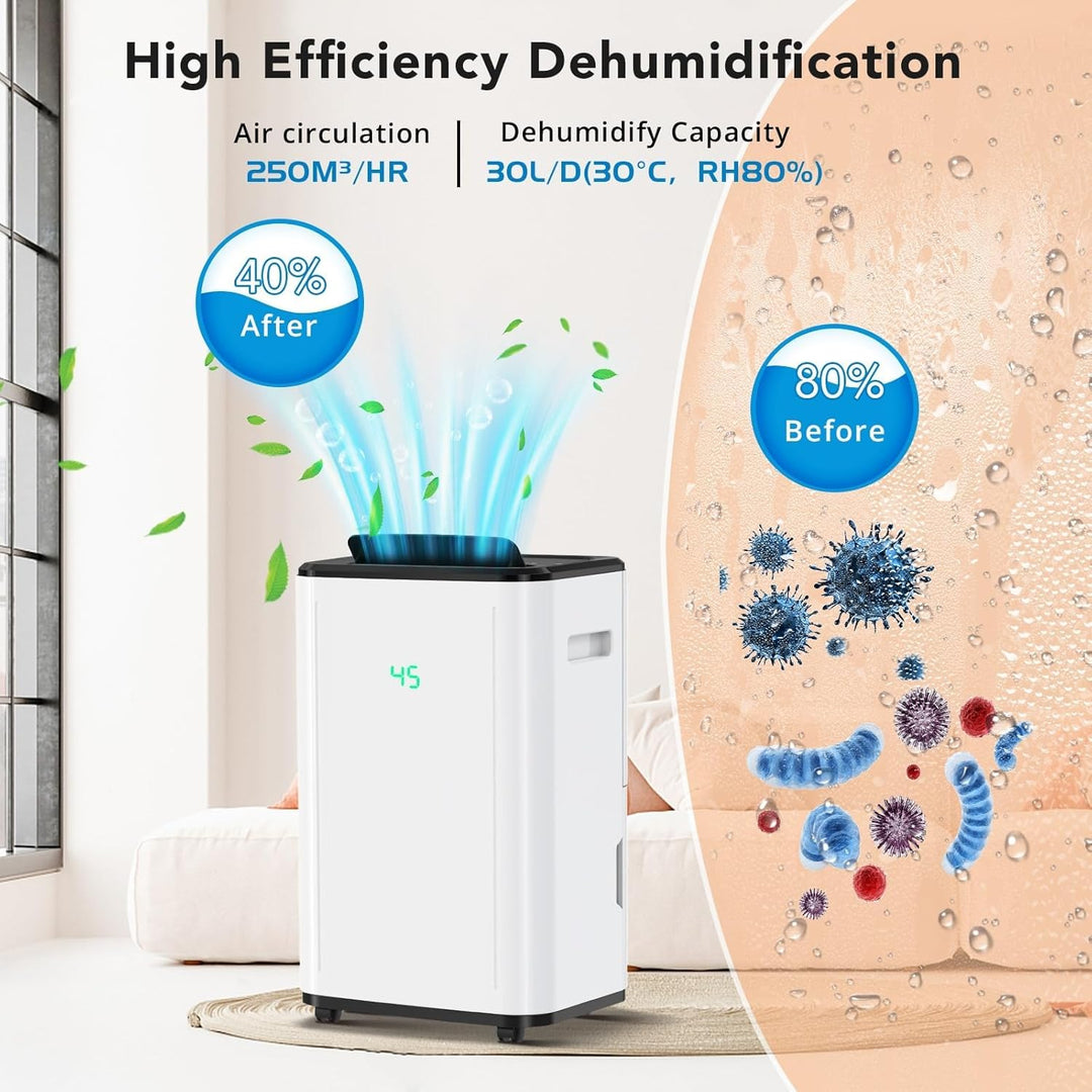 Luftentfeuchter Elektrisch 30L, Dehumifer Raumentfeuchter 30L/24H Raumgrösse Ca. 250m³, 6L Wassertan
