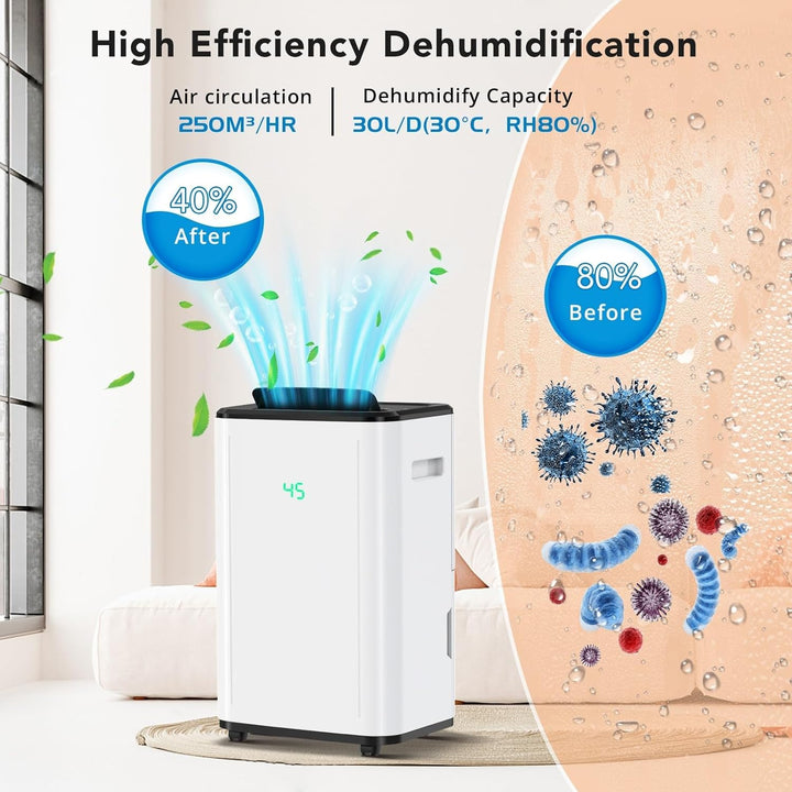 Luftentfeuchter Elektrisch 30L, Dehumifer Raumentfeuchter 30L/24H Raumgrösse Ca. 250m³, 6L Wassertan