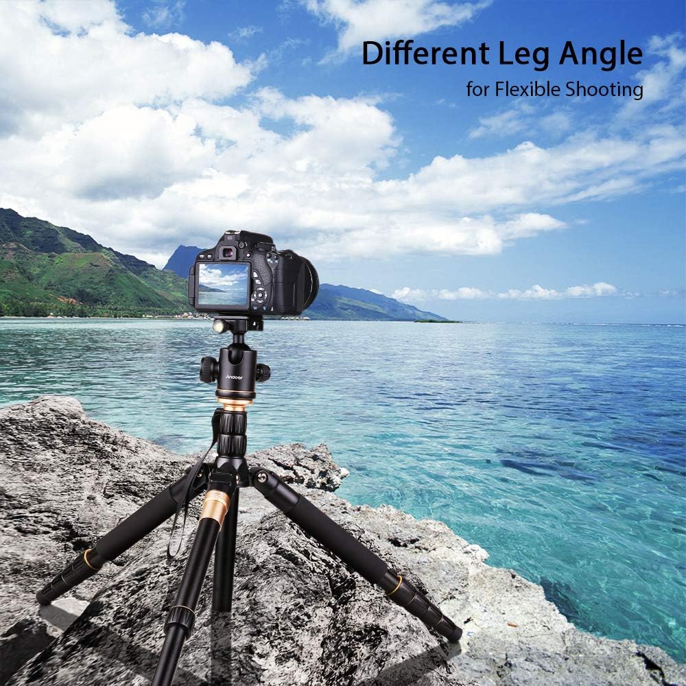 Andoer Q 666 Pro DSLR Kamera-Stativ Einbeinstativ Kugelkopf Veränderbar Tragbare Compact Reisenstati
