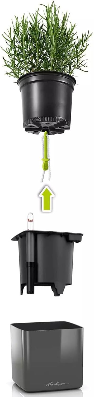 LECHUZA CUBE Glossy Green Wall Home Kit weiss-highgloss 13523 48x14x10 cm Weiss-highgloss, 48x14x10