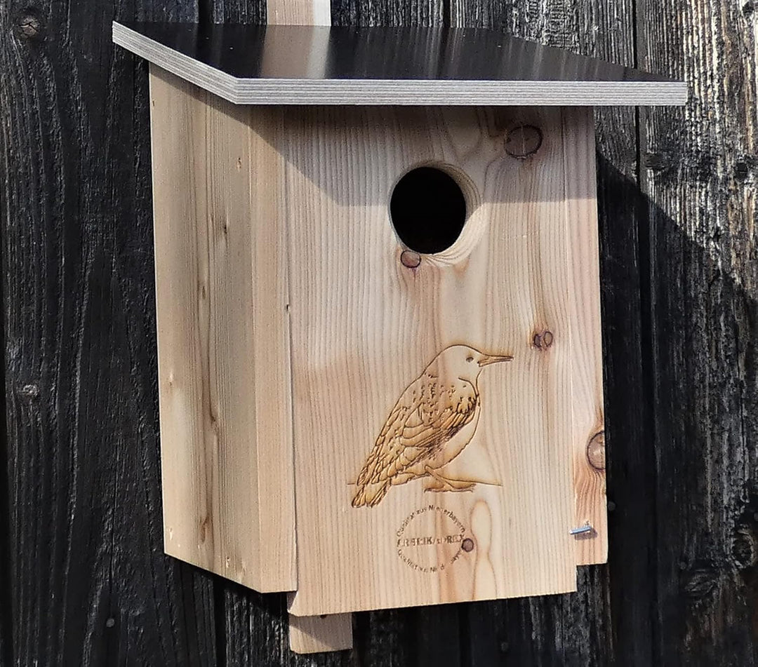 Premium Natur Lärchenholz Nistkasten unbehandelt nach Nabu, massives Vogelhaus Nisthilfe wetterfest