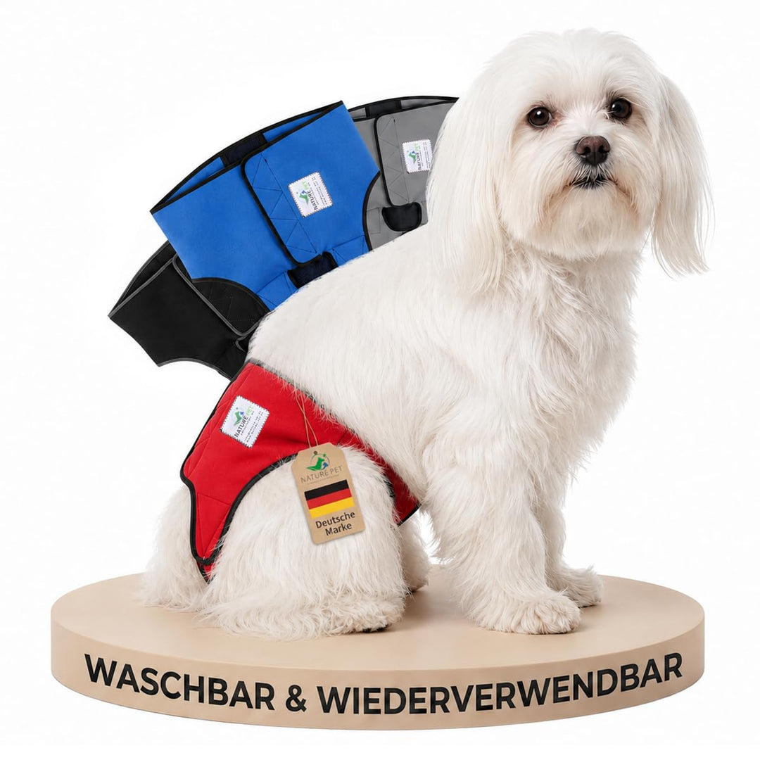 Läufigkeitshose für Hündinnen 2.0 - Hundewindeln aus hochwertigem perforiertem Neopren für einen opt