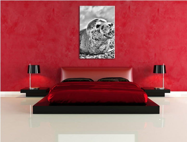 Pixxprint Süsse Robbe auf Steinstrand / 100x70cm Leinwandbild bespannt auf Holzrahmen/Wandbild Kunst