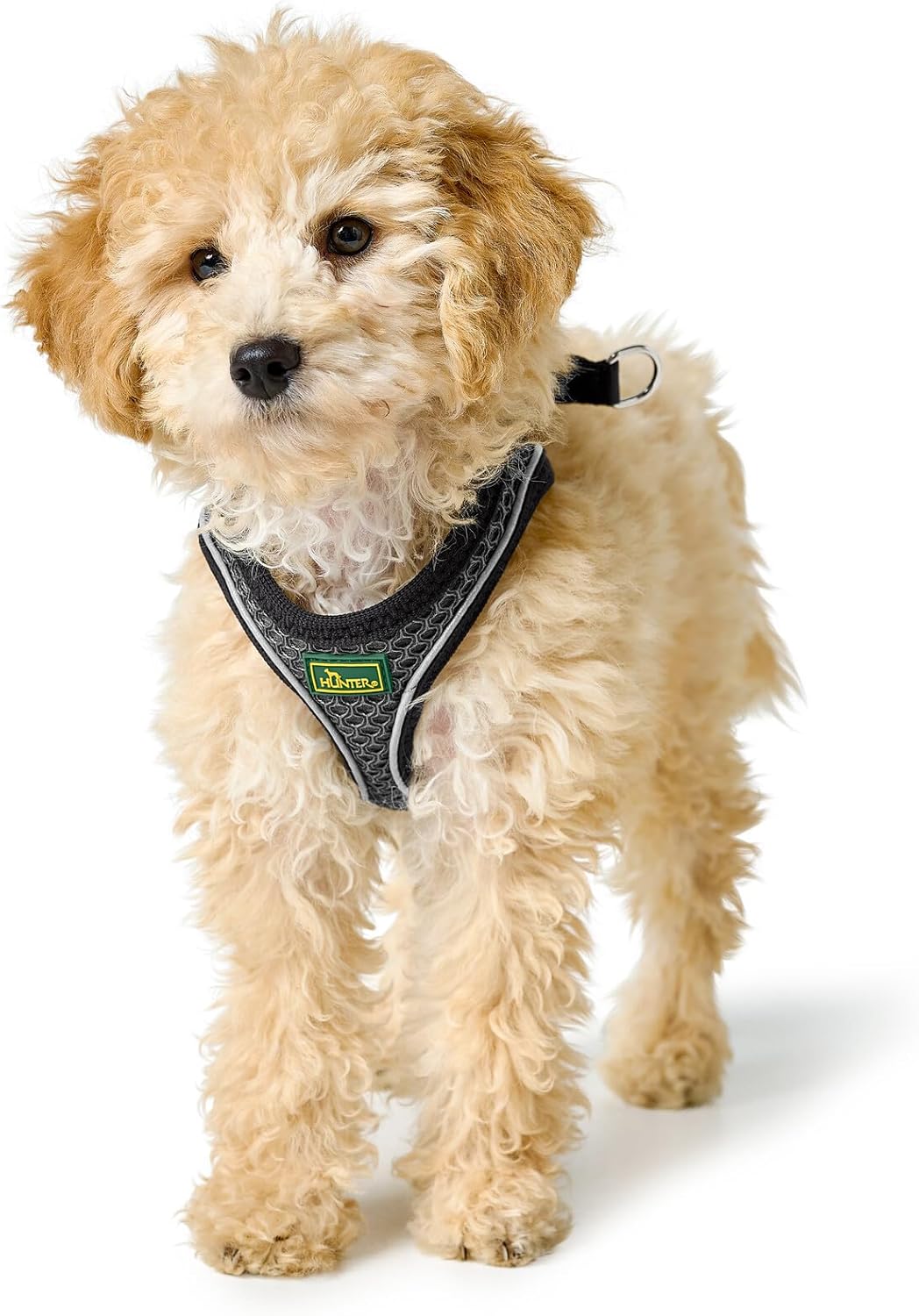 HUNTER HILO COMFORT Geschirr für kleine Hunde mit Netzmaterial und reflektierenden Elementen, anthra