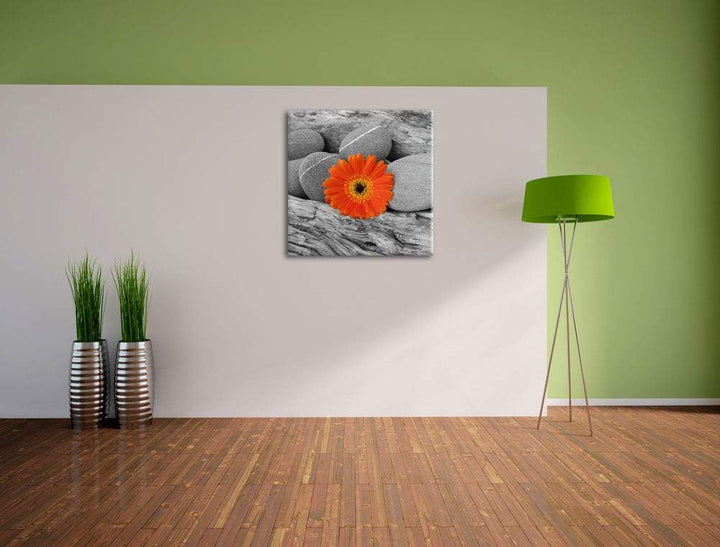 Pixxprint Gerbera zwischen Zen Steinen als Leinwandbild/Grösse: 70x70 cm/Wandbild/Kunstdruck/fertig