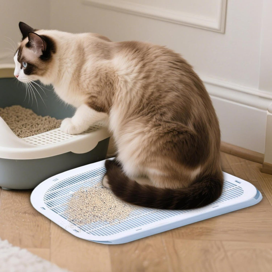Katzenstreu Stufe, Tritt Mit Filterfunktion, Doppelschichtiger Leicht Zu Reinigender rutschfeste Fän