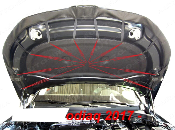 AB3-00334 Auto Bra kompatibel mit Skoda Kodiaq 2017-2023 vor Facelift Haubenbra Steinschlagschutz Tu