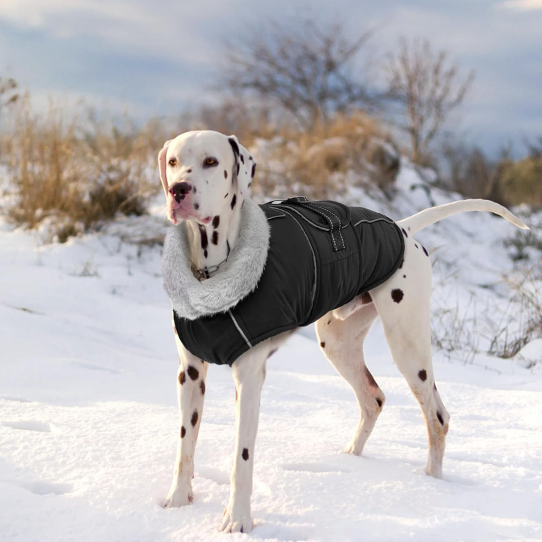 Lelepet Hundejacke Winter Warmer Hundemantel, Wasserdichter Wintermantel Fleece Hundeweste für Mitte