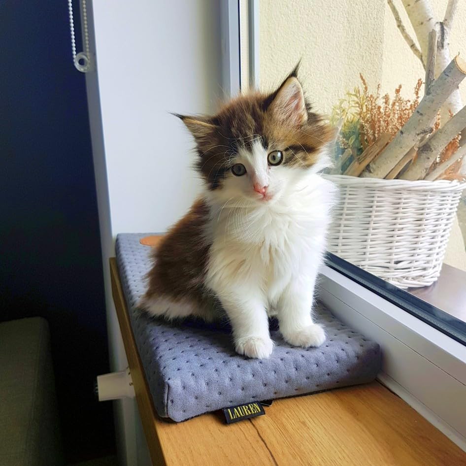 Prime Katzen Fensterliege Für Katzen, Fensterbank mit Einer Rutschfesten Rückseite, Katzenbett Fenst