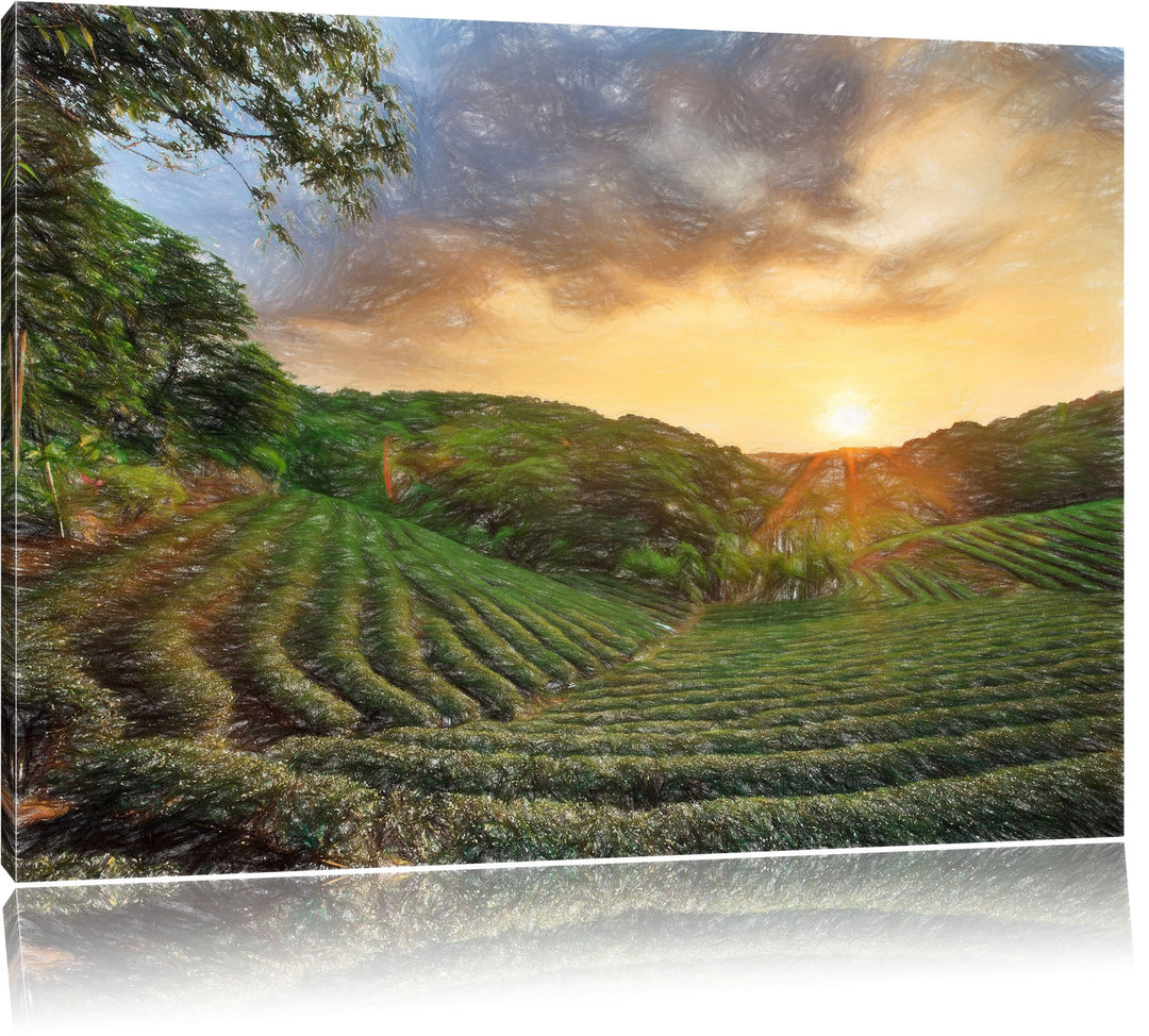 Pixxprint Teeplantage bei Sonnenuntergang / 100x70cm Leinwandbild bespannt auf Holzrahmen/Wandbild K