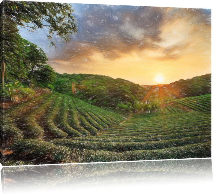 Pixxprint Teeplantage bei Sonnenuntergang / 100x70cm Leinwandbild bespannt auf Holzrahmen/Wandbild K