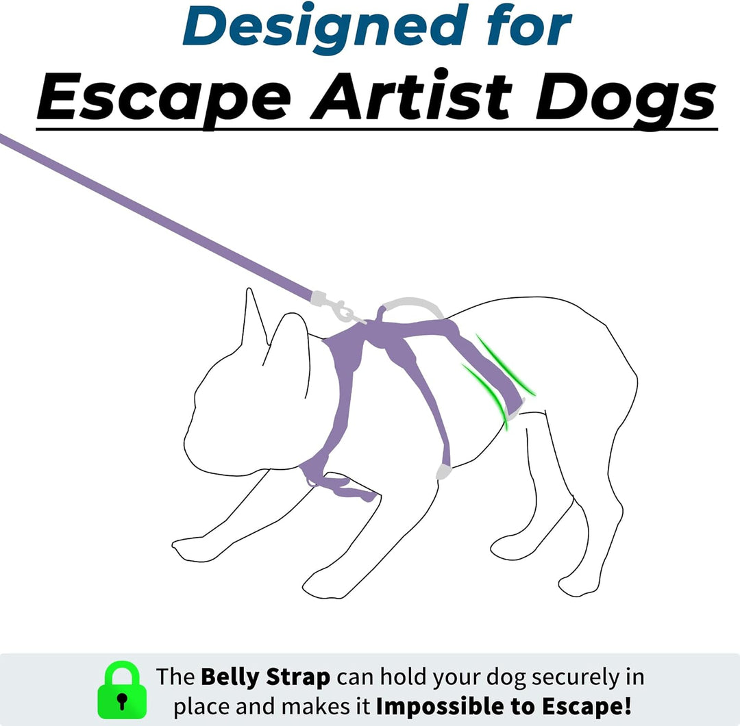 Wuffley Hundegeschirr mit Leine, Sicherheitsgeschirr Hund Ausbruchsicher, Anti Zug Hundegeschirr mit