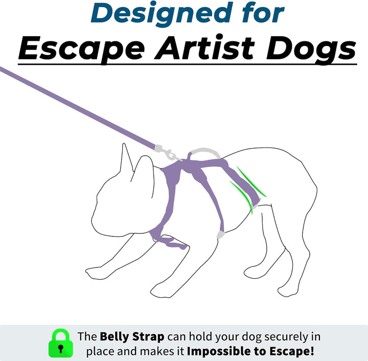 Wuffley Hundegeschirr mit Leine, Sicherheitsgeschirr Hund Ausbruchsicher, Anti Zug Hundegeschirr mit