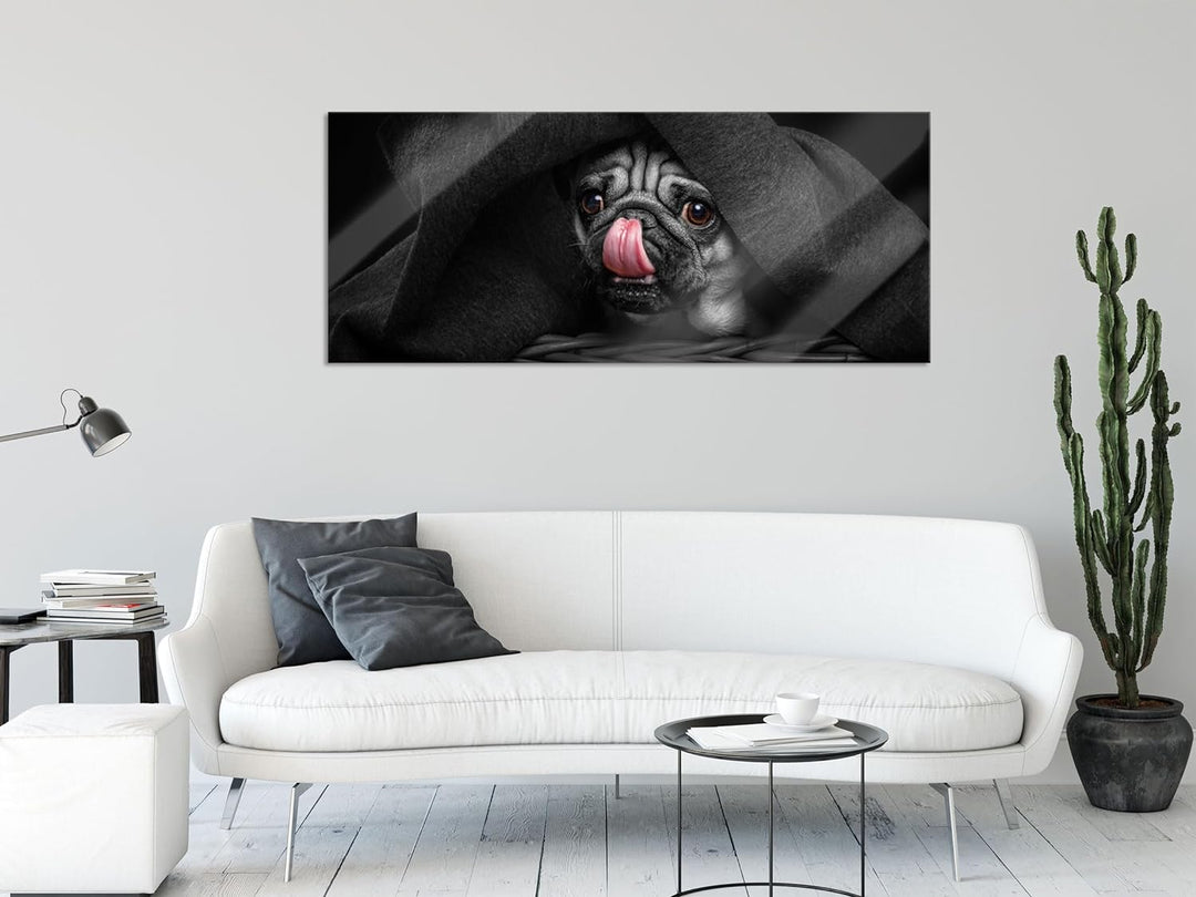 Glasbild Panorama | Wandbild aus Echtglas | Süsser Mops unter der Decke | 100x40 cm | inkl. Aufhängu