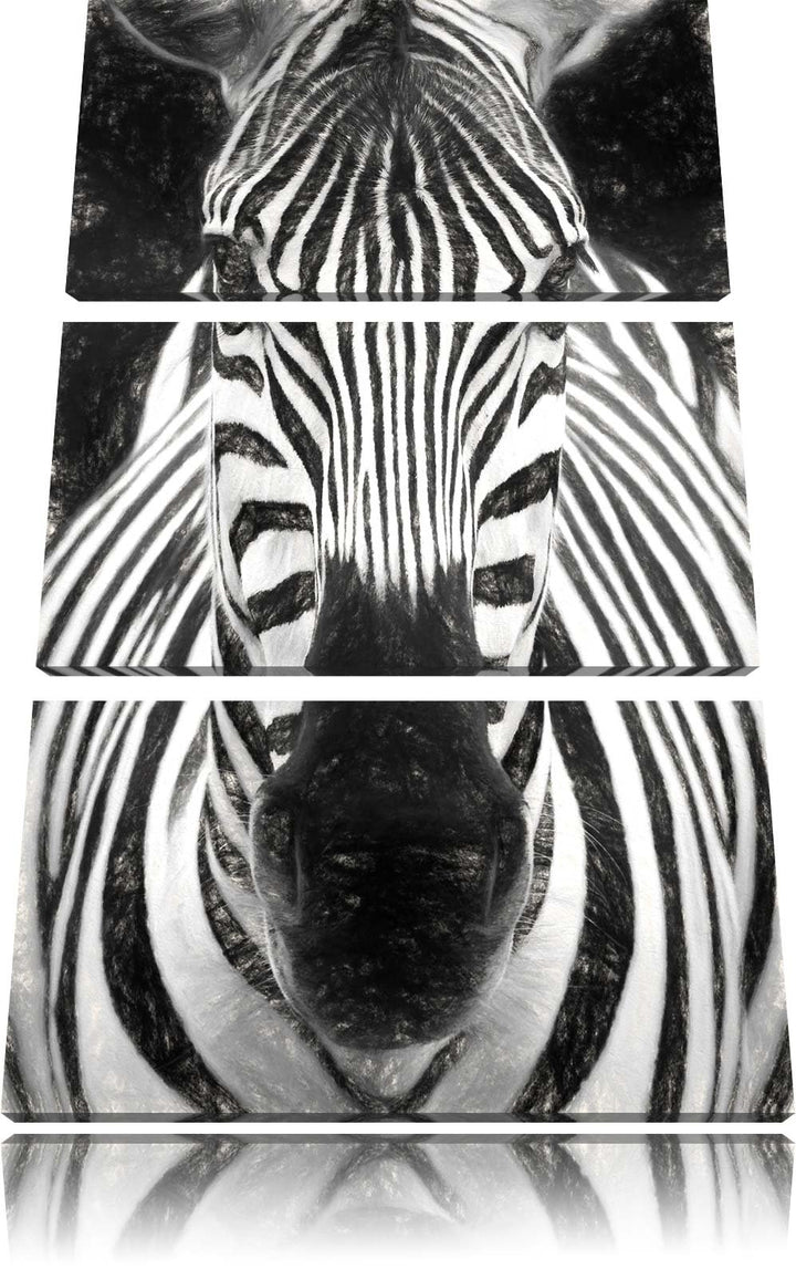 Dark Zebra Porträt Spezial 3-Teiler Leinwandbild 120x80 Bild auf Leinwand, XXL riesige Bilder fertig