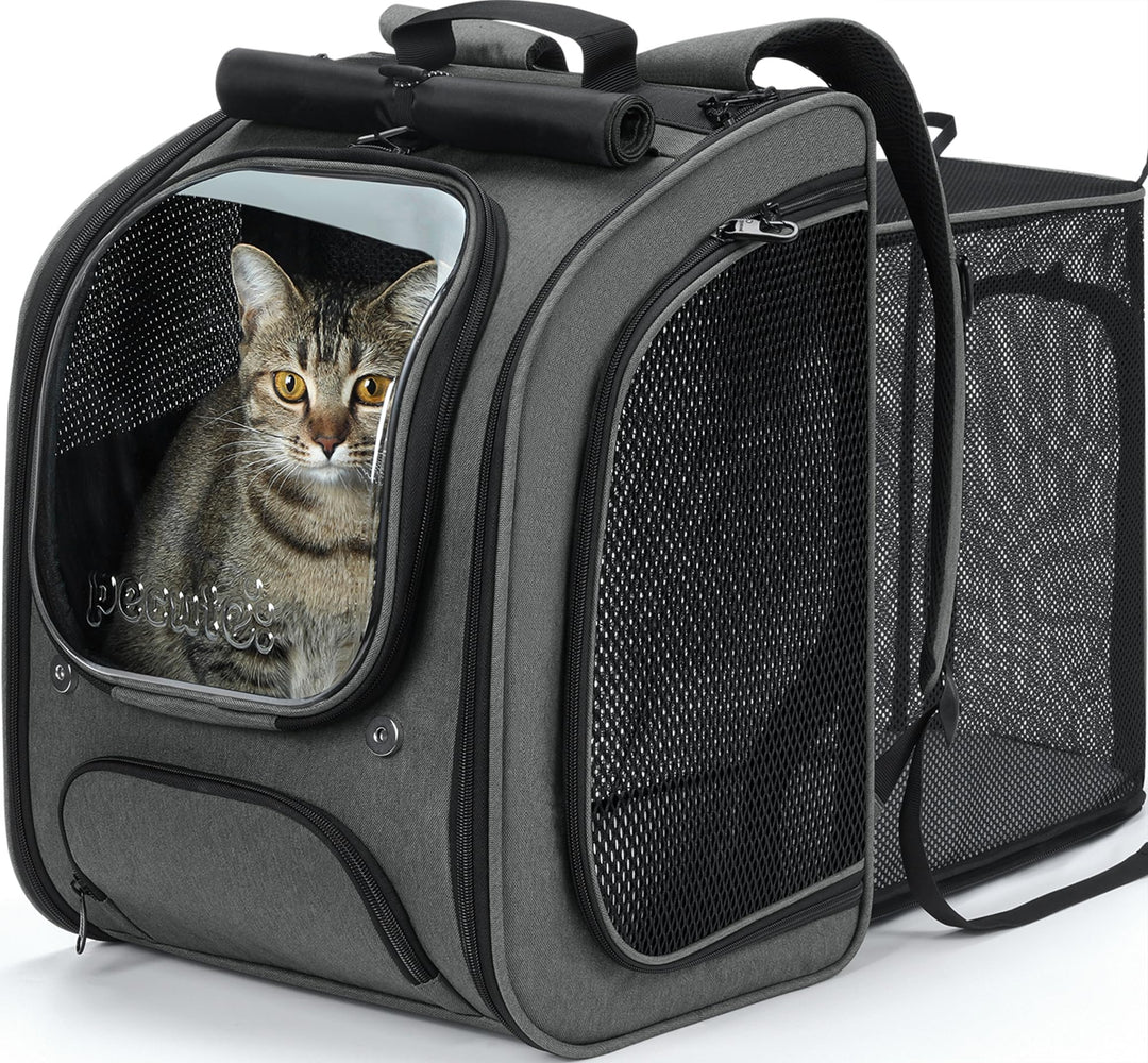 pecute Katzenrucksack Erweiterbar Bubble Haustier Rucksack mit Netzfenster, Tragbare und Faltbare Ka