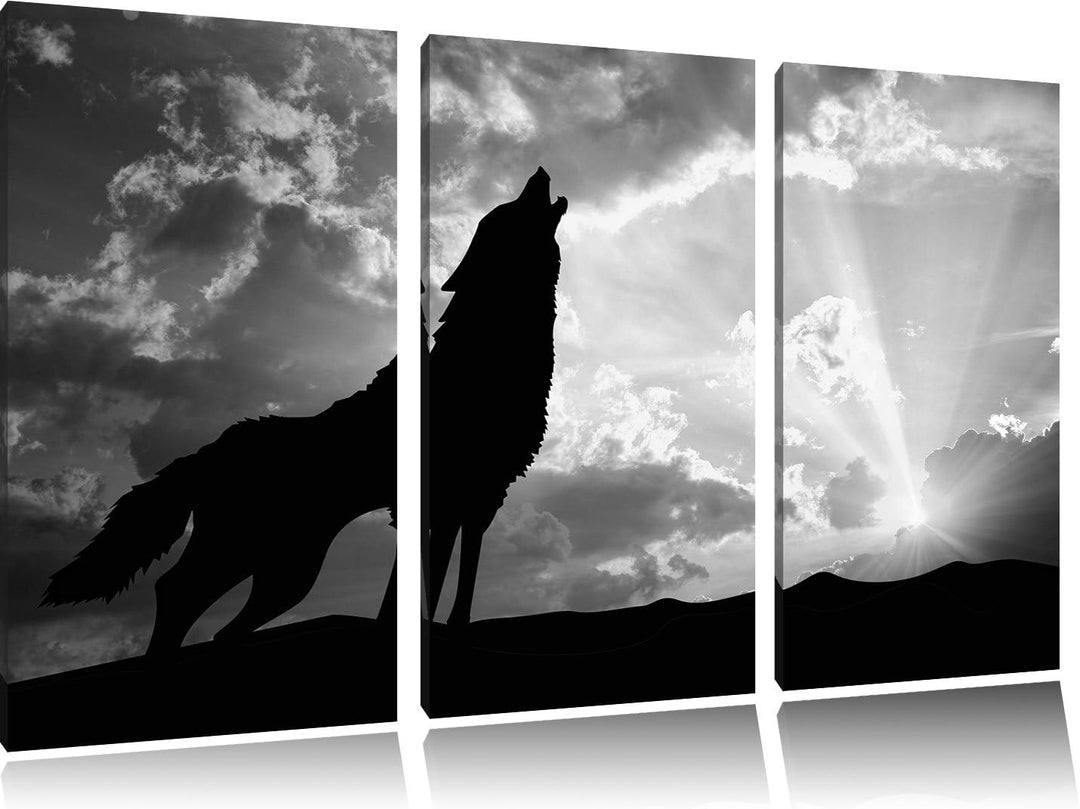 Pixxprint Wolf Heulen als Leinwandbild/Grösse: 3 Teilig (120x80) cm/Wandbild/Kunstdruck/fertig bespa