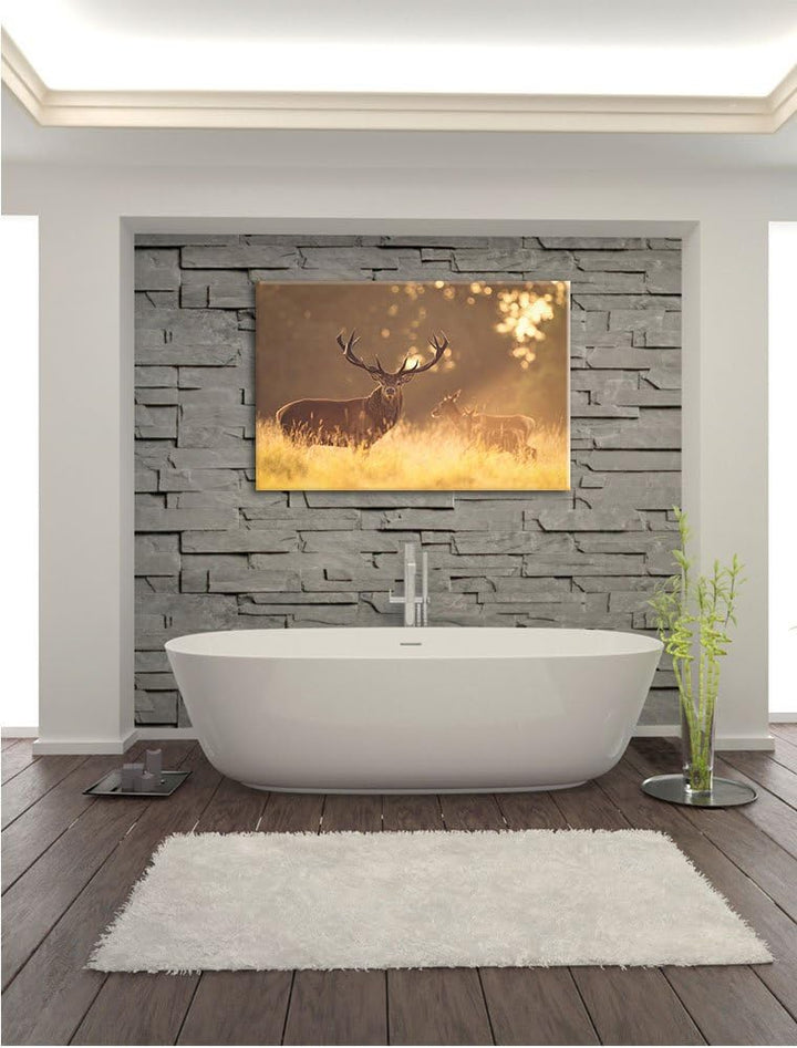 Pixxprint Rotwild im goldenen Morgenlicht als Leinwandbild/Grösse: 100x70 cm/Wandbild/Kunstdruck/fer