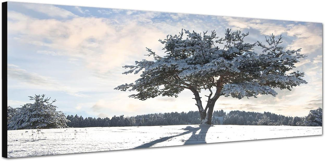 Paul Sinus Art Panoramabild auf Leinwand und Keilrahmen 150x50cm Baum Schatten Schnee Winter Wolkens
