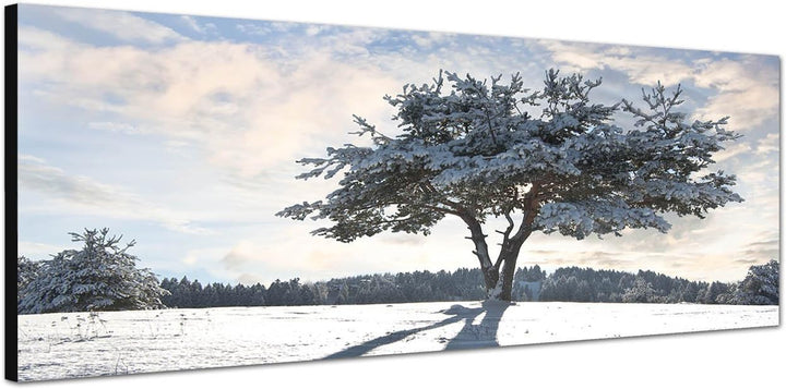 Paul Sinus Art Panoramabild auf Leinwand und Keilrahmen 150x50cm Baum Schatten Schnee Winter Wolkens