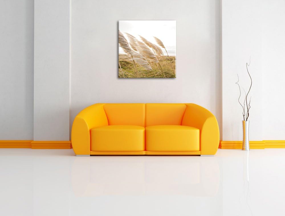 Pixxprint Schönes Schilf in den Dünen als Leinwandbild Quadratisch/Grösse: 70x70 / Wandbild/Kunstdru