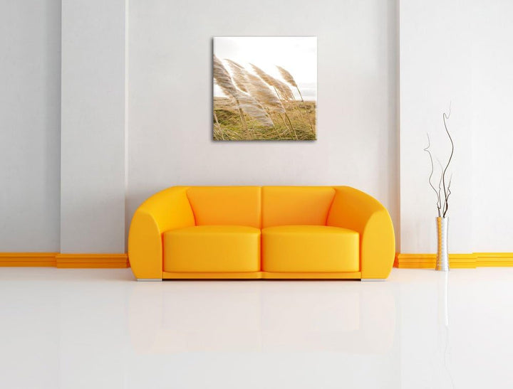 Pixxprint Schönes Schilf in den Dünen als Leinwandbild Quadratisch/Grösse: 70x70 / Wandbild/Kunstdru