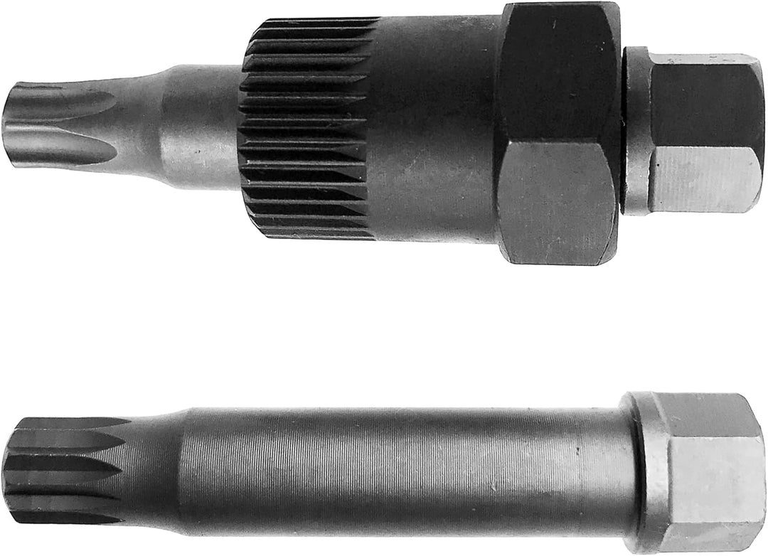Alkan Extra kurze M10 Vielzahn und T50 (TX-Profil) Bit-Einsatz inkl. Einsatz Adapter mit 33-Zahn Nus
