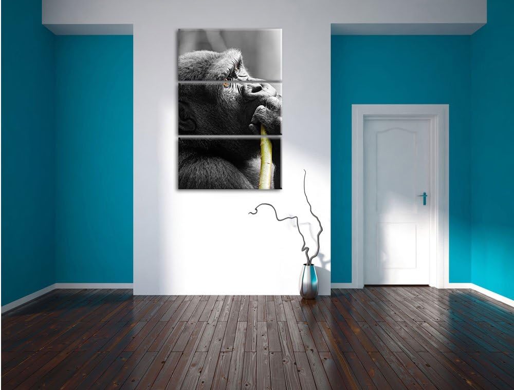 Pixxprint stolzer Gorilla isst als Leinwandbild/Grösse: 3 Teilig (120x80) cm/Wandbild/Kunstdruck/fer