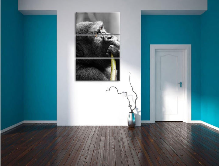 Pixxprint stolzer Gorilla isst als Leinwandbild/Grösse: 3 Teilig (120x80) cm/Wandbild/Kunstdruck/fer