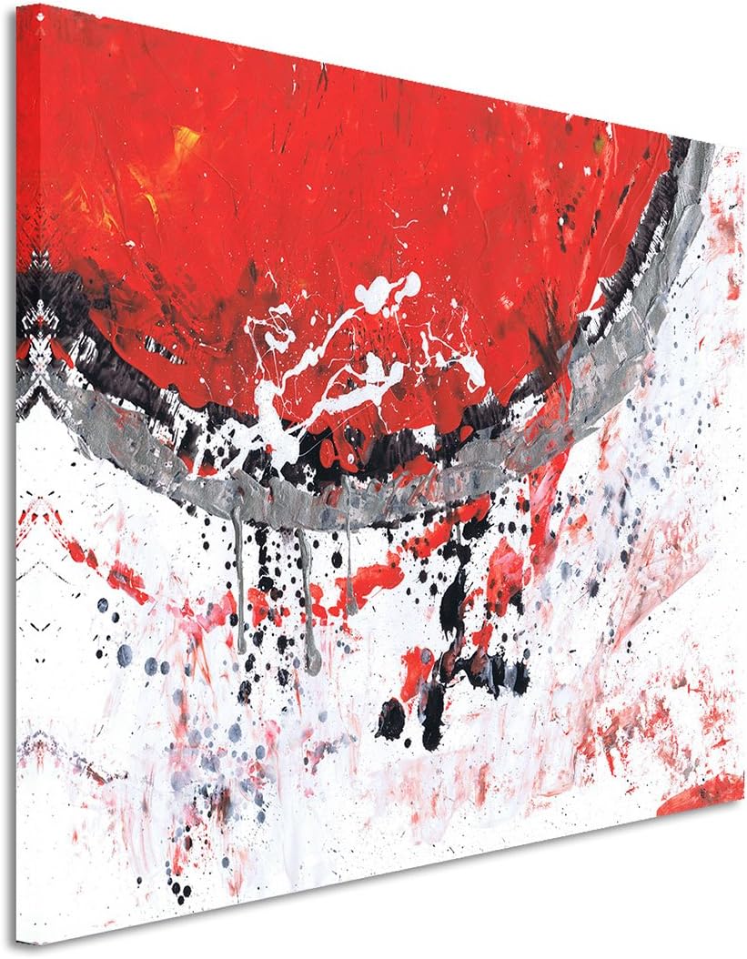 Paul Sinus Art 80x60cm Fotoleinwand Leinwanddruck Kunstdruck Wandbild rot grau weiss schwarz Halbkre