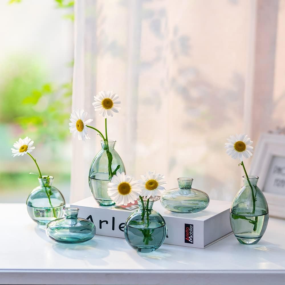 Kleine Vasen Für Tischdeko Aus Hewory, 6 Stück Vase Glas Mini Vasen Set Modern Glasvase Grün Kleine