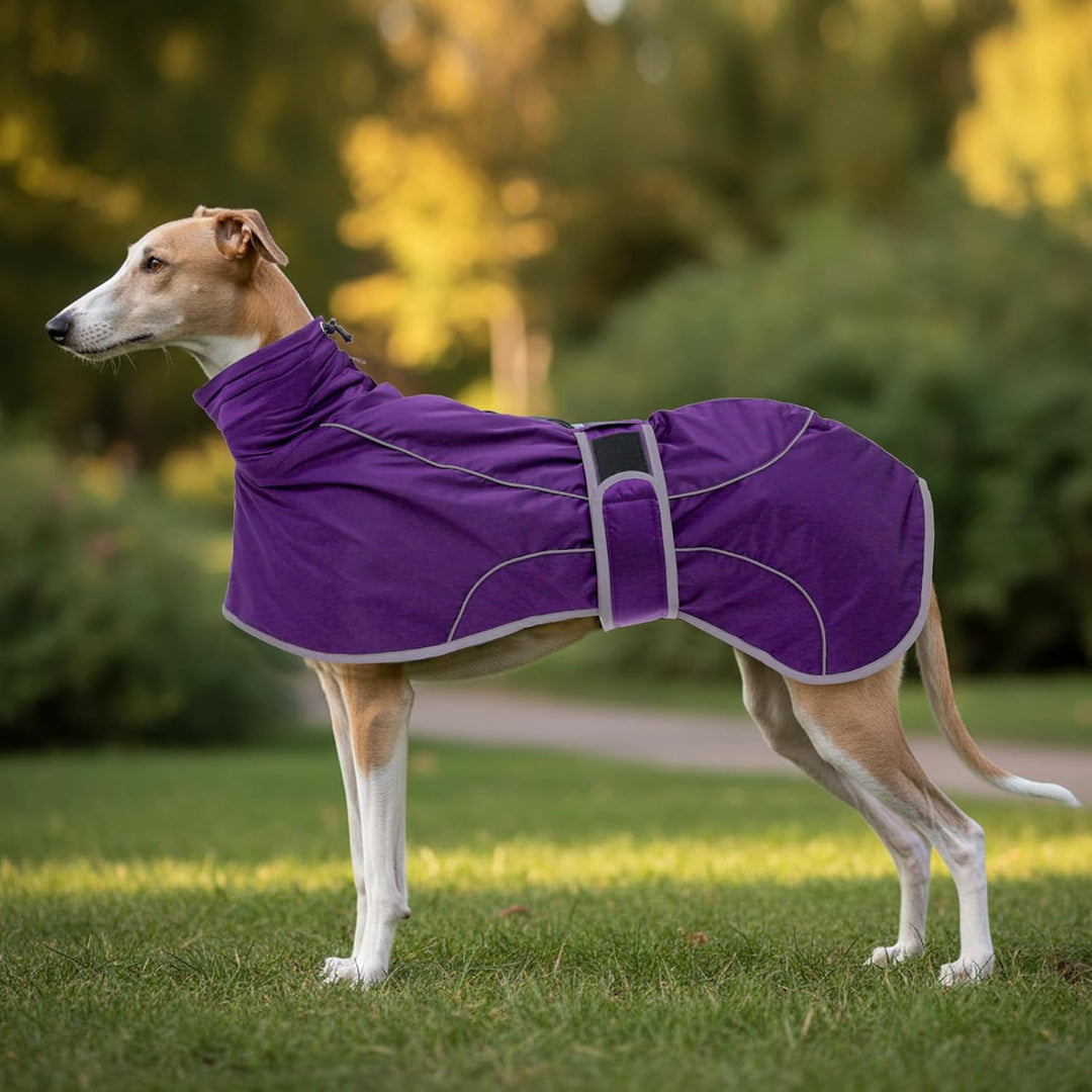 Geyecete-Wasserdicht Windhunde Mantel Fleece Whippet Pullover Winterjacke,Verstellbaren Reflektieren