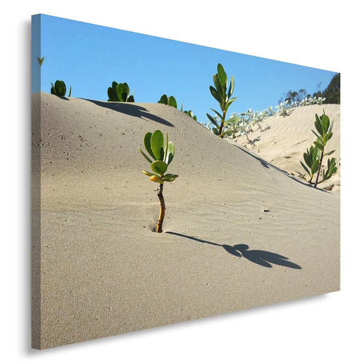 Feeby Frames. Wandbild - 1 Teilig - 60x80 cm, Leinwand Bild Leinwandbilder Bilder Wandbilder Kunstdr