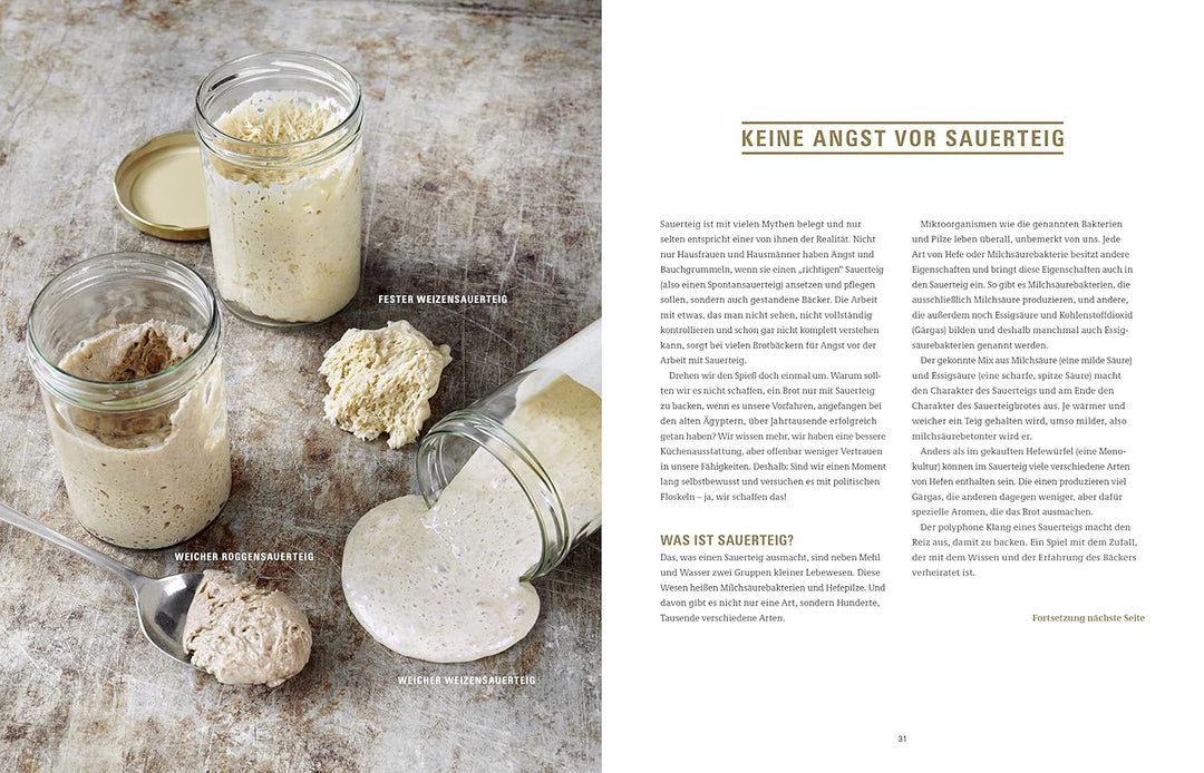 Brot backen in Perfektion mit Sauerteig - Das Plötz-Prinzip! - Vollendete Ergebnisse statt Experimen