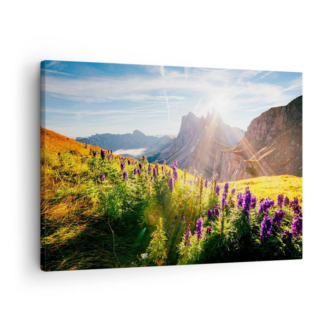 Bilder auf Leinwand Berge Wiese Blumen Leinwandbild mit Rahmen 70x50cm Wandbilder Dekoration Wohnzim