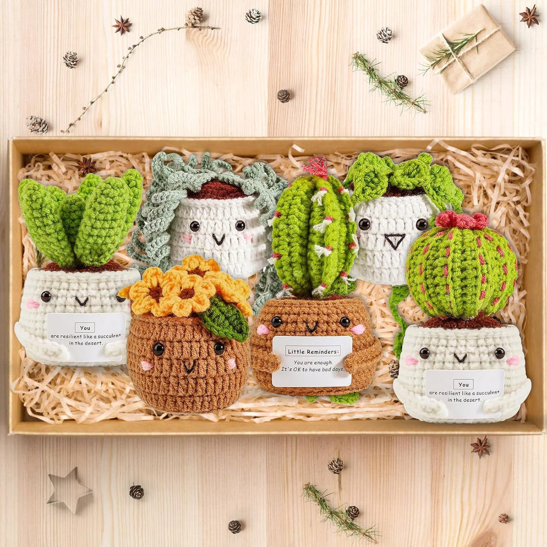 ASTNIC Häkelset für Anfänger,6 Stück Hängende Topfpflanze Cactus Häkeln Starter Kit Erwachsene mit A