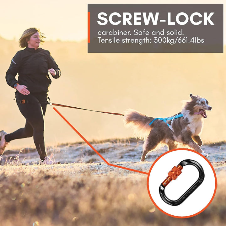 Non-stop dogwear CANIX-Belt | 123X | maximale Sicherheit - minimales Gewicht!, Grösse:M M (1er Pack)